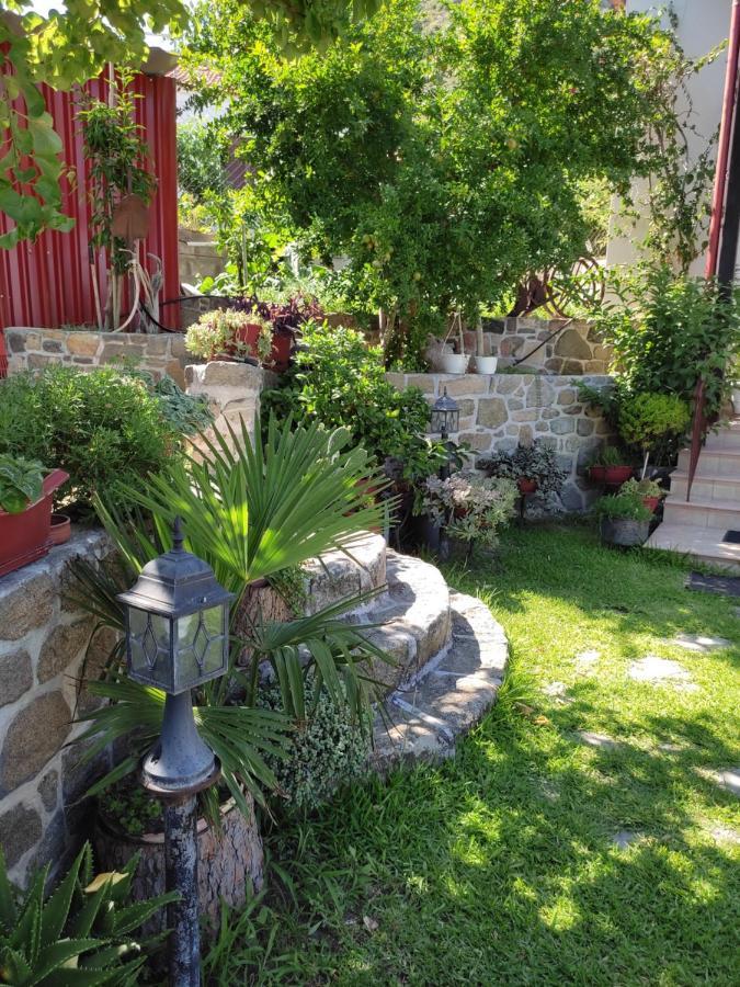 Sweet Home Sykia Chalkidikis Exterior photo